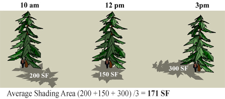 Treed shadow graphic