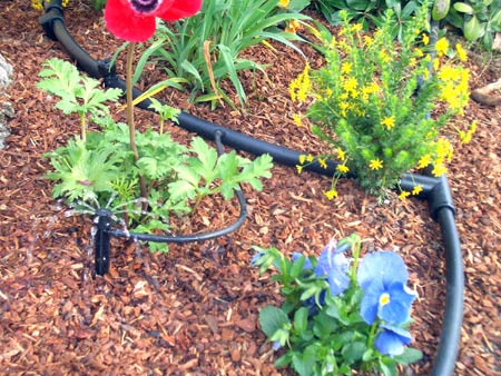 Drip irrigation   