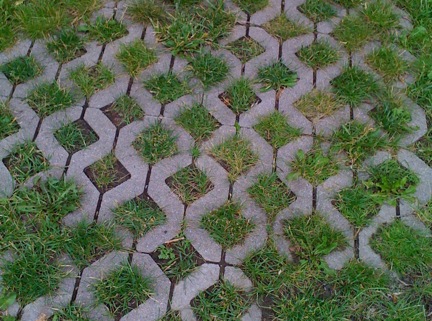 Open grid paving