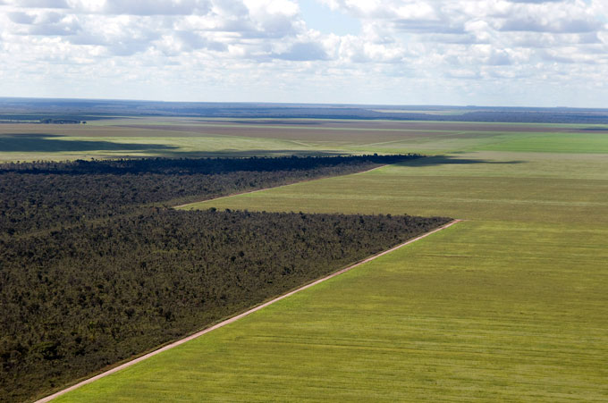 The most biologically diverse savanna in the world, the Brazilian cerrado, shown here alongside a soybean monoculture, has already lost roughly half of its original vegetation. LEED v4 is holding biobased materials to a higher standard through sustainability certifications. | Photo – Adriano Gambarini/WWF-Brazil