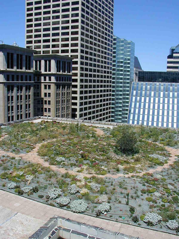 Chicago City Hall green roof