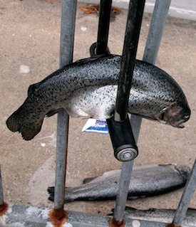 Bikers need wheel benders like a fish needs a bike lock. In LEED v4, bike rack quality is a requirement. |Photo Credit – forkergirl, via Flickr, Creative Commons License