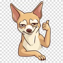 Profile picture for user britanyweelborgbih63