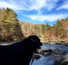 Profile picture for user stotten_1