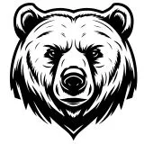 Profile picture for user arizonaestimation