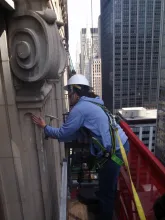 Profile picture for user amandaroelle