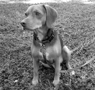 Profile picture for user tim_2_2