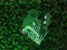 Profile picture for user bsolis