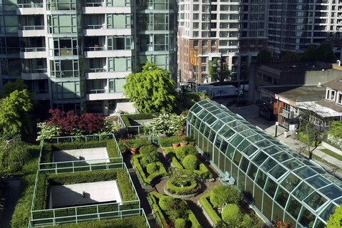 green roof with trees and shrubs